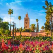 Things to Do in Marrakech
