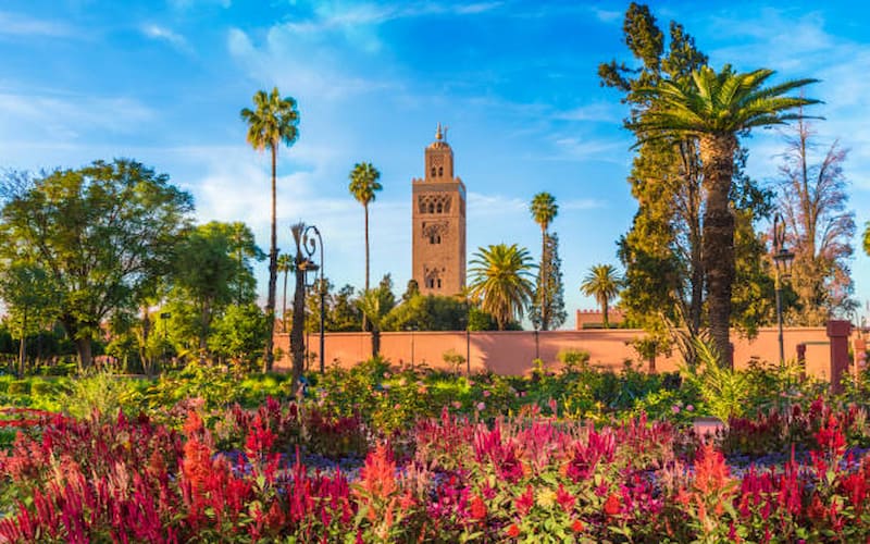 Things to Do in Marrakech