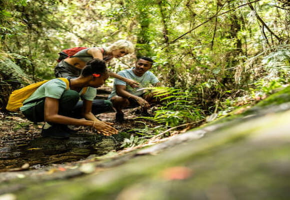 Top 10 Natural Wonders to Explore in Brazil