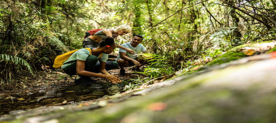 Explore in Brazil (1)